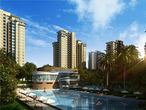 misscake蛋糕小姐