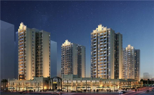 年轻的鸡即鲍汁焖鸡