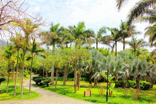 加盟慢茶奶茶值得吗，加盟慢茶奶茶成本会不会太高