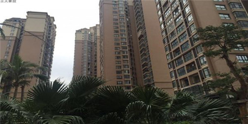 胶原蛋白粉哪些品牌比较好