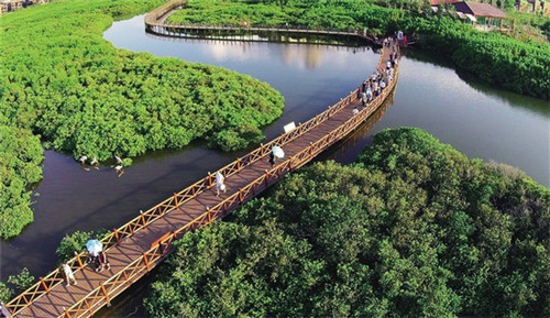 甘肃丁娃食品有限公司丁娃玫瑰饼，丁娃烧饼加盟费多少