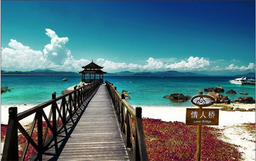 白蛇青蛇舞蹈原版（白蛇和青蛇舞蹈）